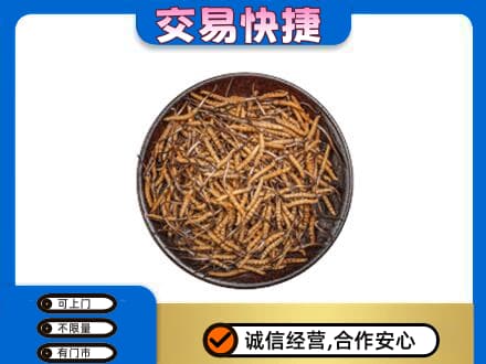 北海回收散虫草